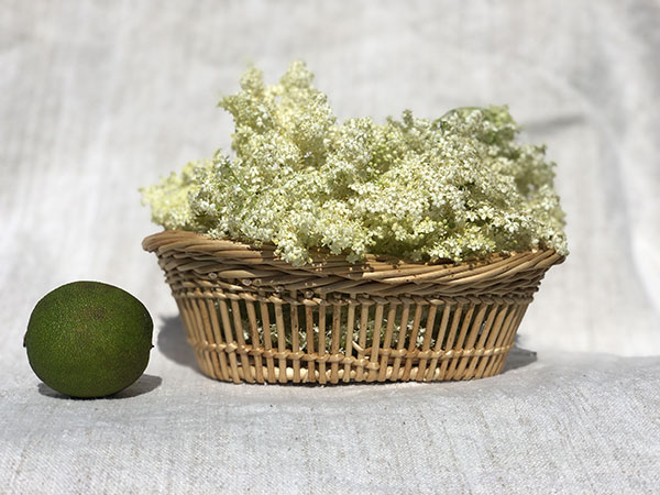 Petite corbeille en osier écorcé